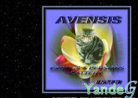 Cайт Питомник персидских и экзотических кошек -`Avensis`