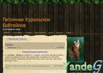 Cайт - Питомник кошек породы курильский бобтейл (kotofeev-grad.ru)