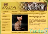 Cайт - Питомник кошек девон-рекс Kristal (kristal.net.ua)