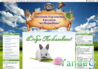 Cайт Чистное хозяйство декоративных мини кроликов - mr.Моркoffкин