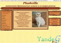 Cайт - Plushville питомник британских кошек и селкирк-рексов (plushville.ucoz.ru)