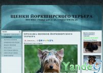 Cайт - Элитные щенки Йоркширского терьера по доступным ценам (yorka-moskwa.okis.ru)