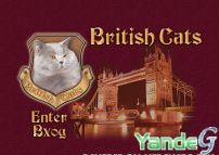 Cайт - British Cats - Британские кошки, коты и котята. (british-cat.ru)