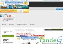 Cайт Интернет-магазин VisitorQnits.ru
