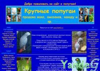 Cайт - Мастерская крупных попугаев (www.elitbigparrots.ru)